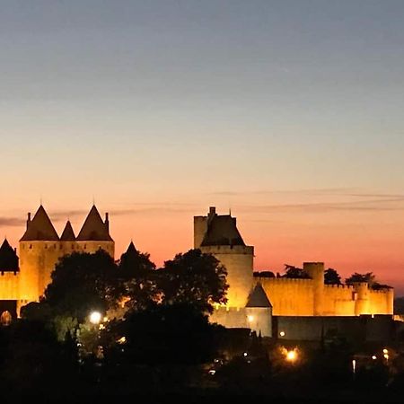 Chambre Avec Vue Panoramique Sur La Cite Medievale Каркассон Экстерьер фото